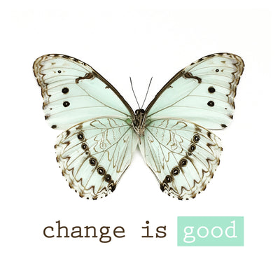 Ch-Ch-Ch-Changes...