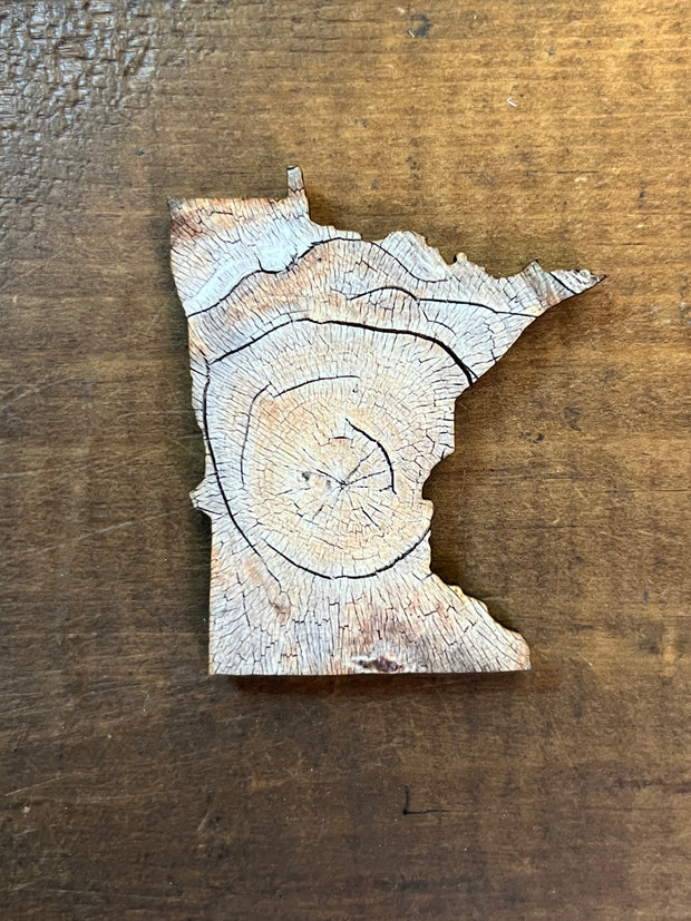 Minnesota State Outline - Tree Rings Ornament Magnet