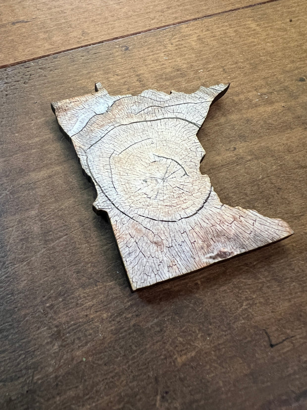 Minnesota State Outline - Tree Rings Ornament Magnet