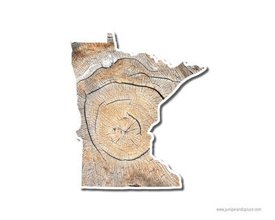Minnesota Tree Rings Vinyl Sticker