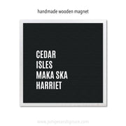 Art Magnet - Lakes of Minneapolis