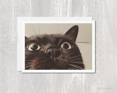 Greeting Card - Whaaaat