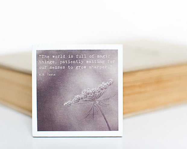 Magnet | The World is Full of Magic Things