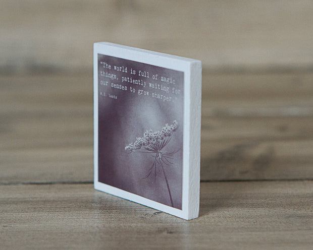Magnet | The World is Full of Magic Things