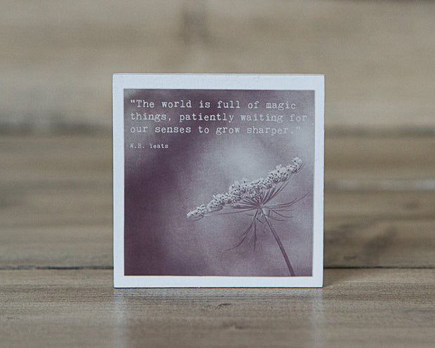 Magnet | The World is Full of Magic Things