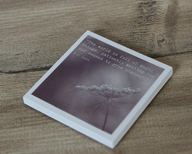Magnet | The World is Full of Magic Things